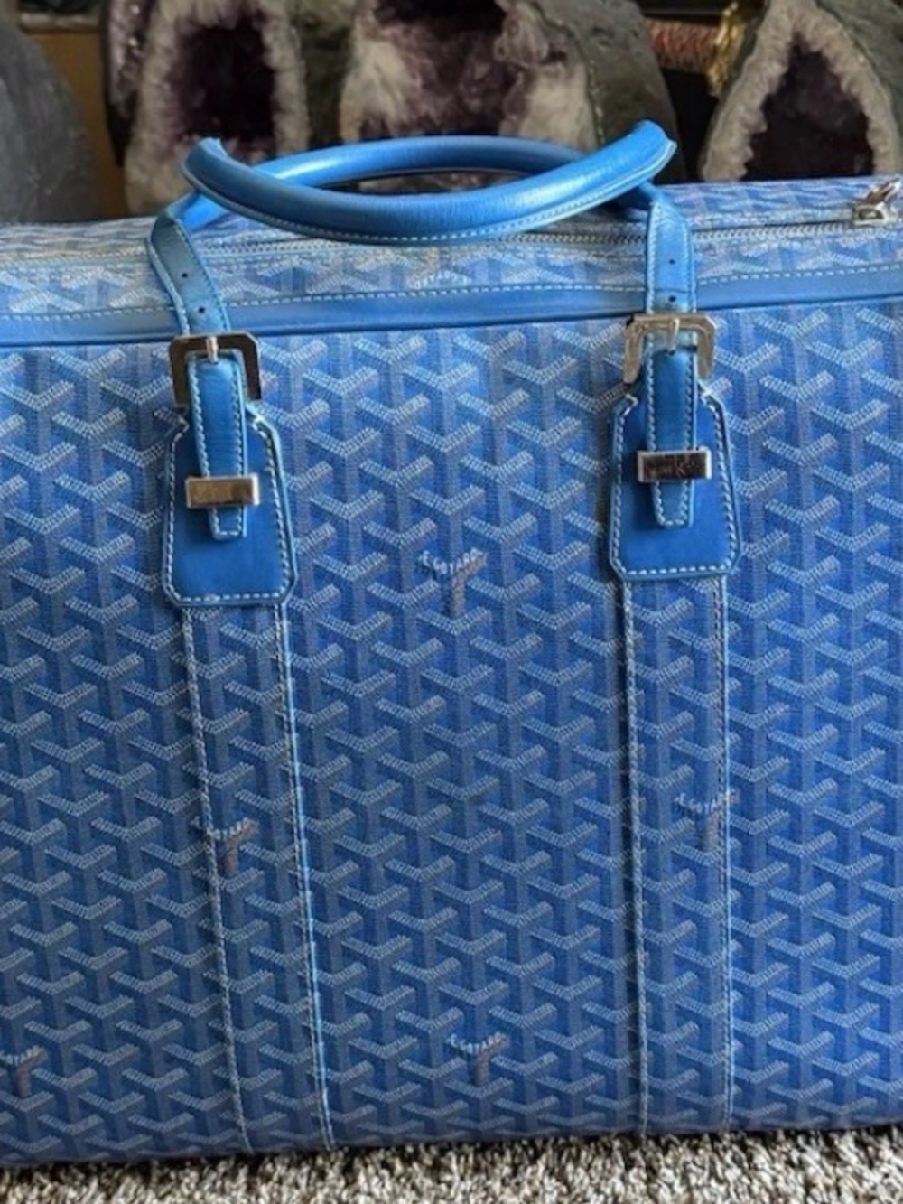 Goyard Blue Patterned Travel Tote